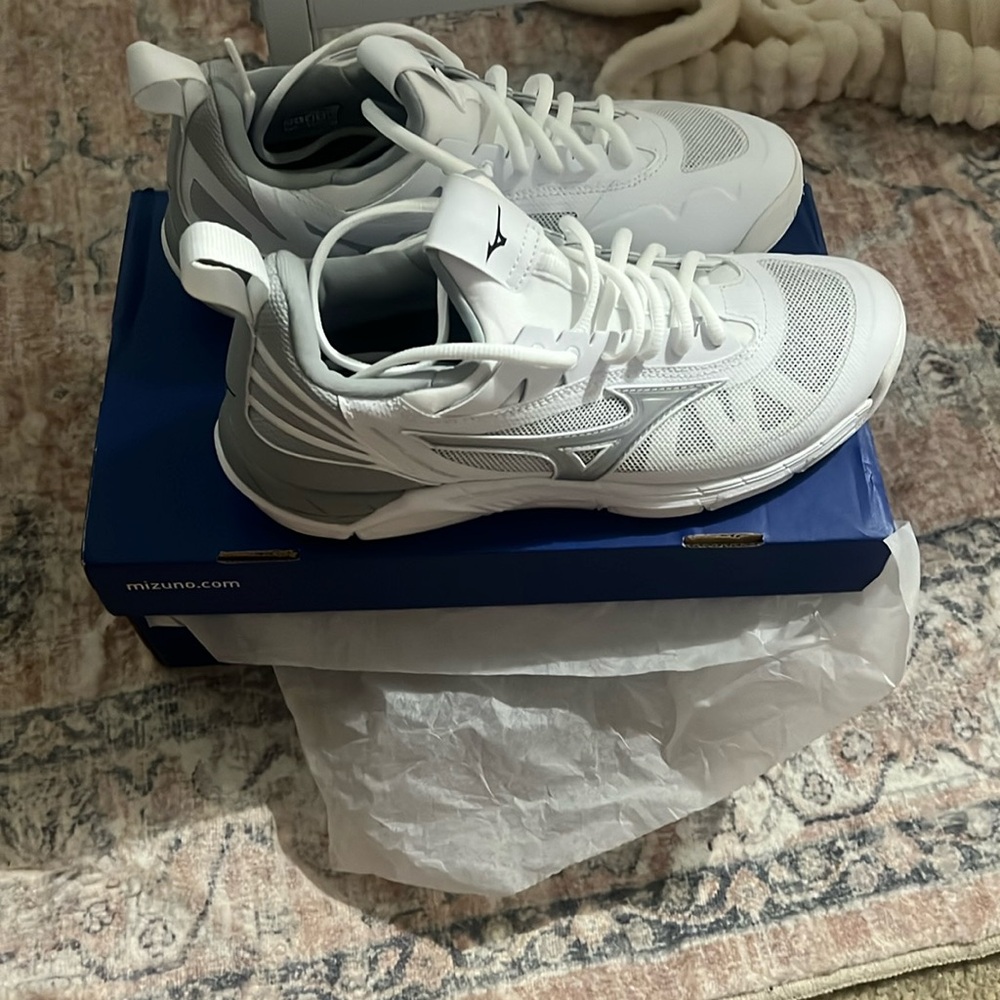 mizuno court shoes